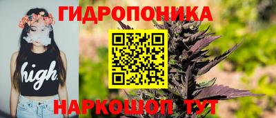скорость Будённовск